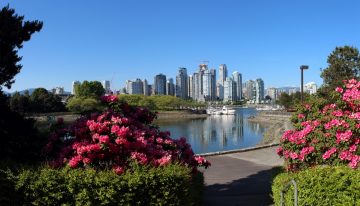 False Creek in Spring