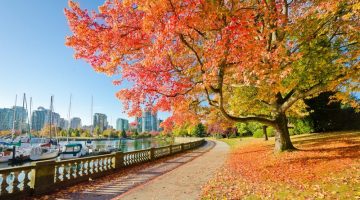 Vancouver Autumn
