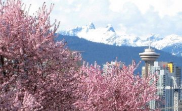 Spring Arrives in Vancouver