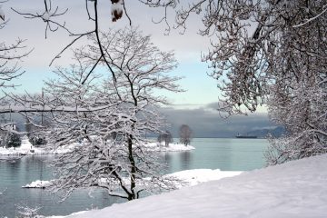 Vancouver Snow